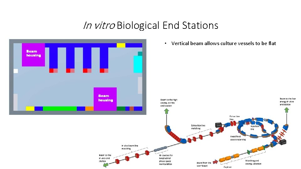 In vitro Biological End Stations • Vertical beam allows culture vessels to be flat