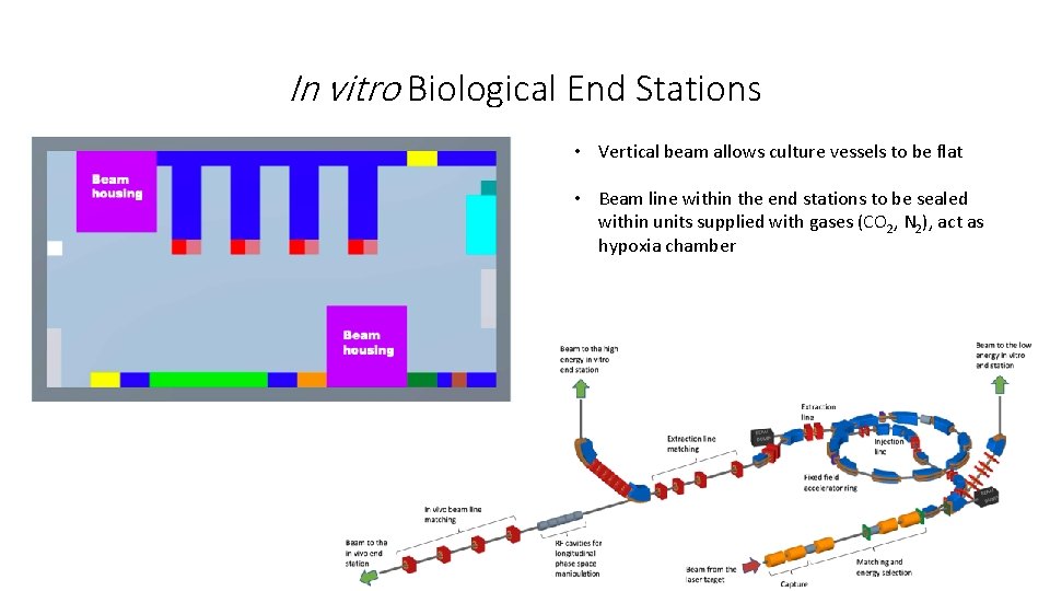 In vitro Biological End Stations • Vertical beam allows culture vessels to be flat