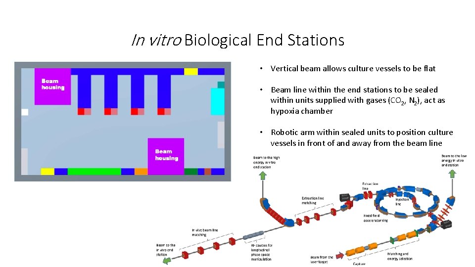 In vitro Biological End Stations • Vertical beam allows culture vessels to be flat