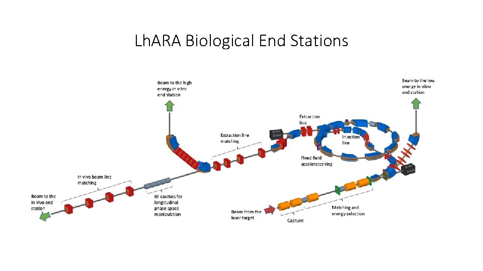 Lh. ARA Biological End Stations 