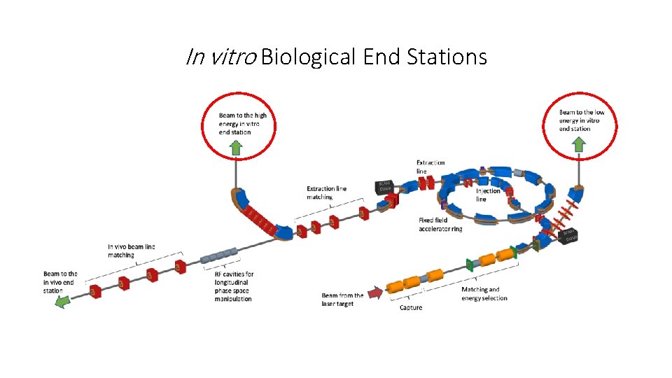 In vitro Biological End Stations 