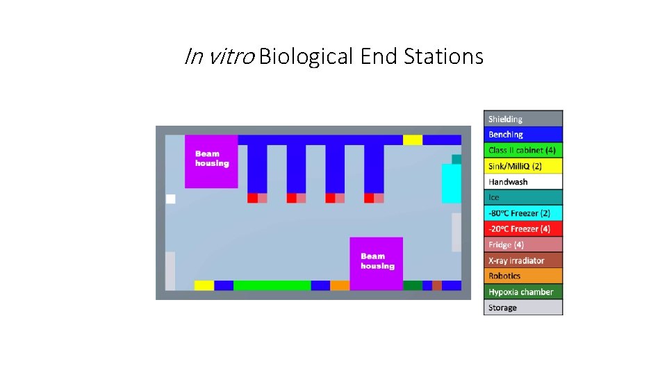 In vitro Biological End Stations 