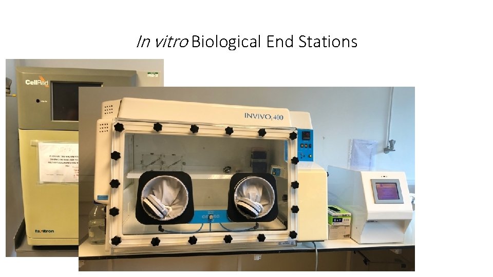 In vitro Biological End Stations 