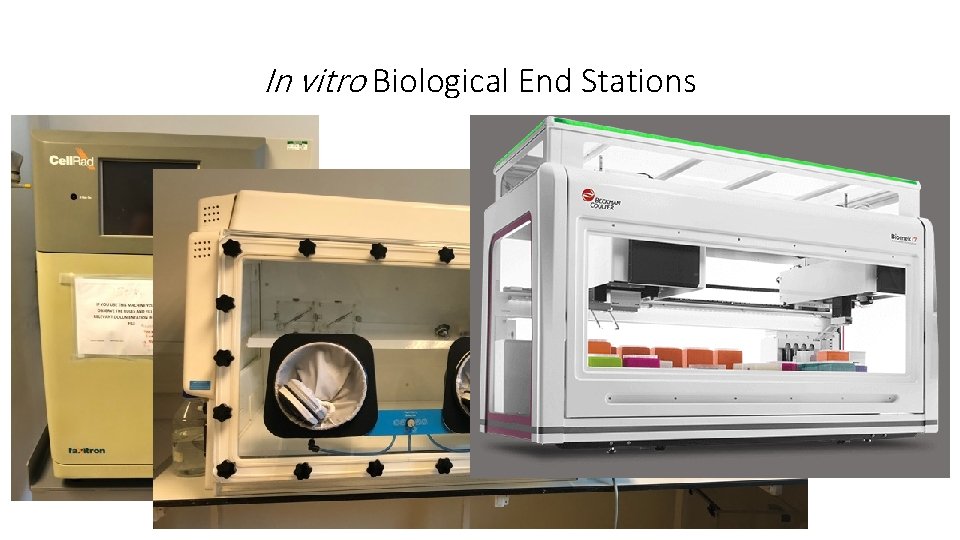 In vitro Biological End Stations 