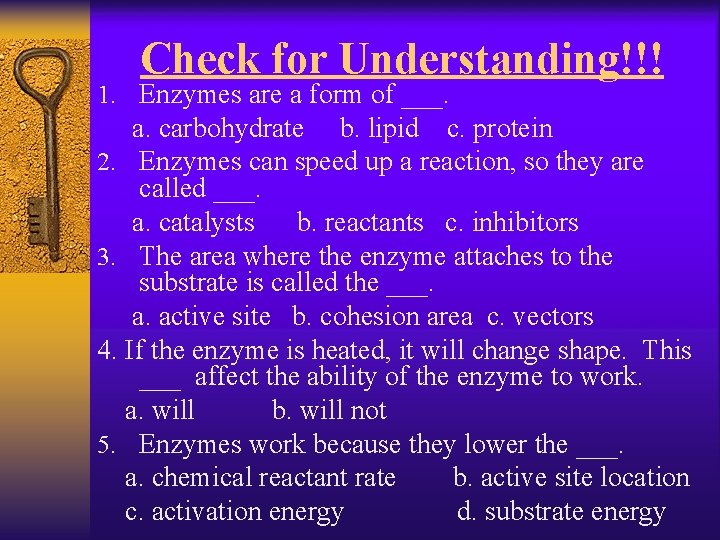 Check for Understanding!!! 1. Enzymes are a form of ___. a. carbohydrate b. lipid