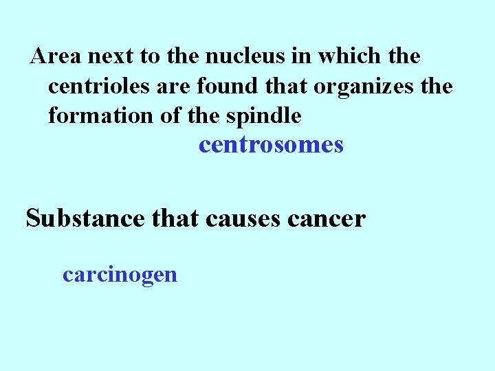 Area next to the nucleus in which the centrioles are found that organizes the