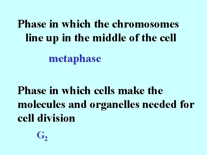 Phase in which the chromosomes line up in the middle of the cell metaphase