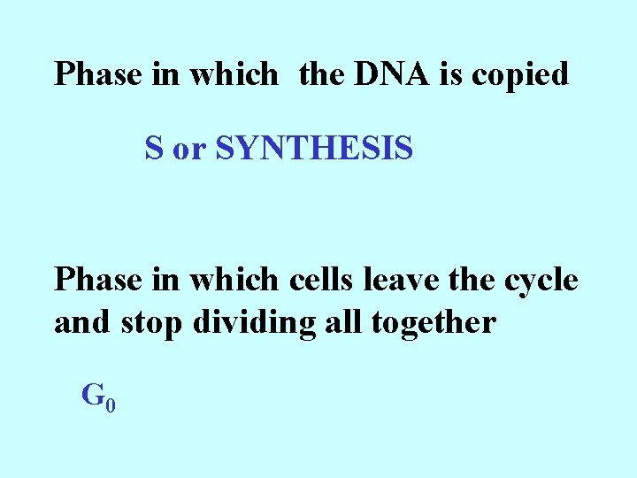 Phase in which the DNA is copied S or SYNTHESIS Phase in which cells