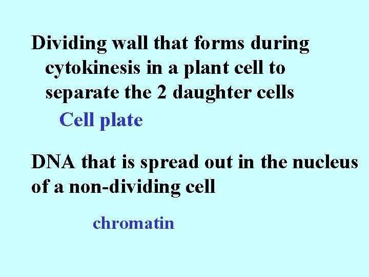 Dividing wall that forms during cytokinesis in a plant cell to separate the 2