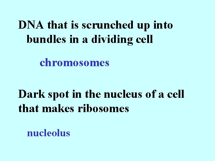 DNA that is scrunched up into bundles in a dividing cell chromosomes Dark spot