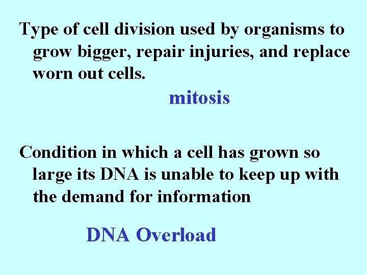 Type of cell division used by organisms to grow bigger, repair injuries, and replace