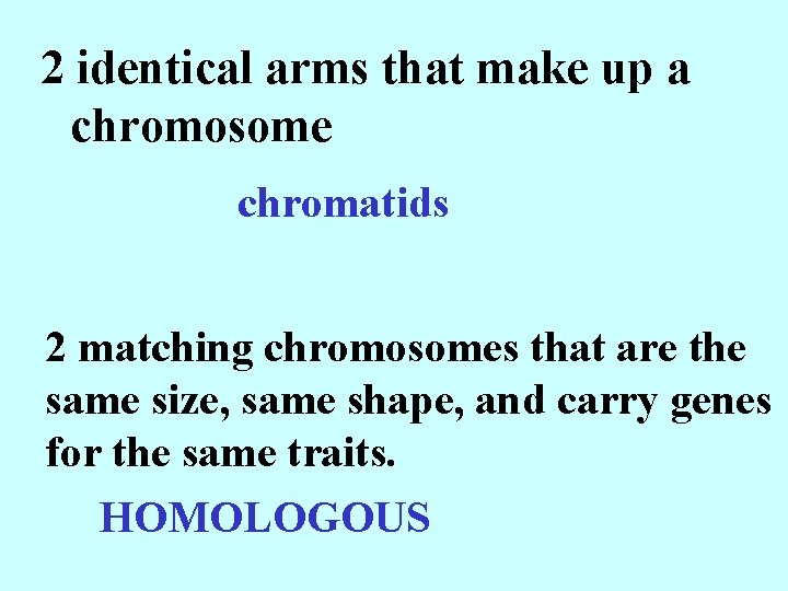 2 identical arms that make up a chromosome chromatids 2 matching chromosomes that are