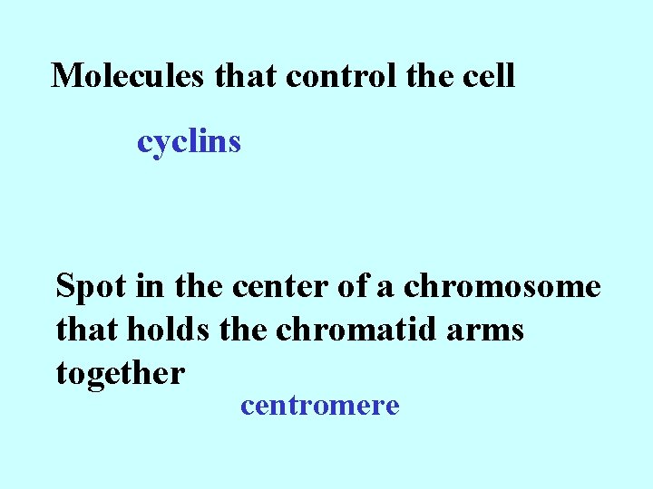 Molecules that control the cell cyclins Spot in the center of a chromosome that