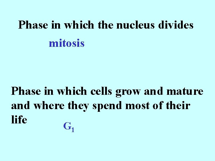 Phase in which the nucleus divides mitosis Phase in which cells grow and mature