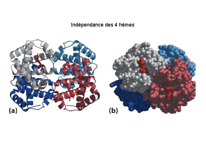 Indépendance des 4 hèmes 