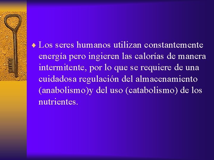 ¨ Los seres humanos utilizan constantemente energía pero ingieren las calorías de manera intermitente,