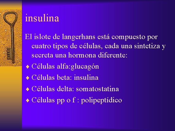 insulina El islote de langerhans está compuesto por cuatro tipos de células, cada una