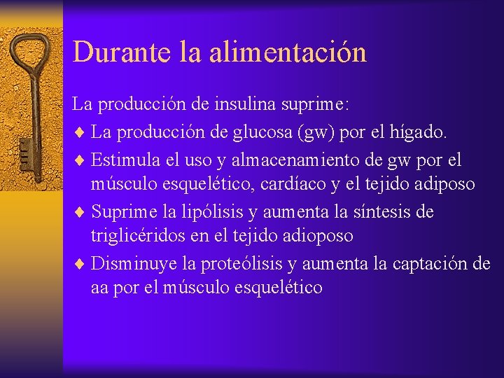 Durante la alimentación La producción de insulina suprime: ¨ La producción de glucosa (gw)