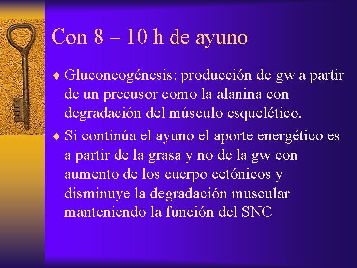 Con 8 – 10 h de ayuno ¨ Gluconeogénesis: producción de gw a partir