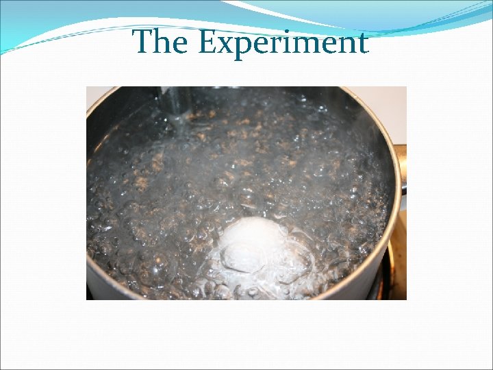 The Experiment 