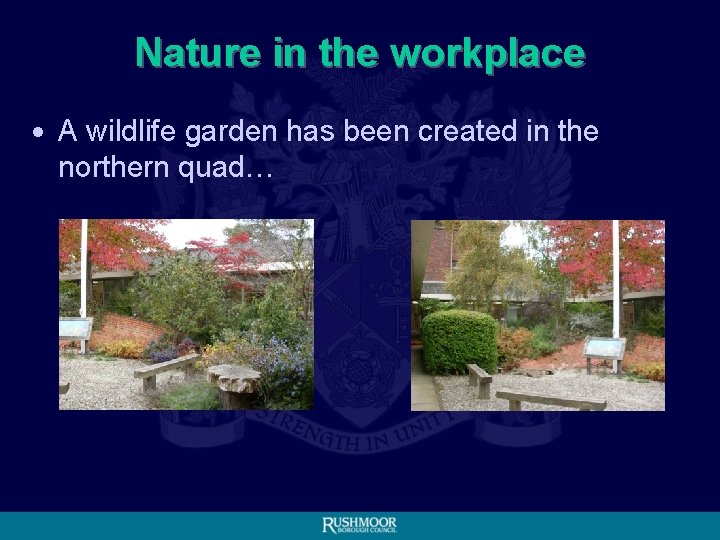 Nature in the workplace • A wildlife garden has been created in the northern
