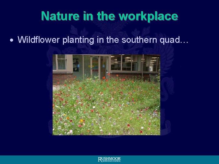 Nature in the workplace • Wildflower planting in the southern quad… 