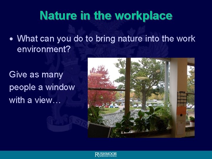 Nature in the workplace • What can you do to bring nature into the