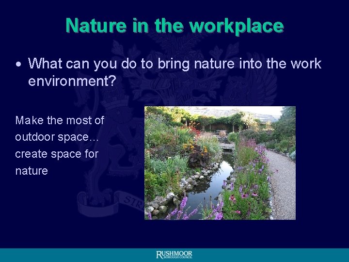 Nature in the workplace • What can you do to bring nature into the