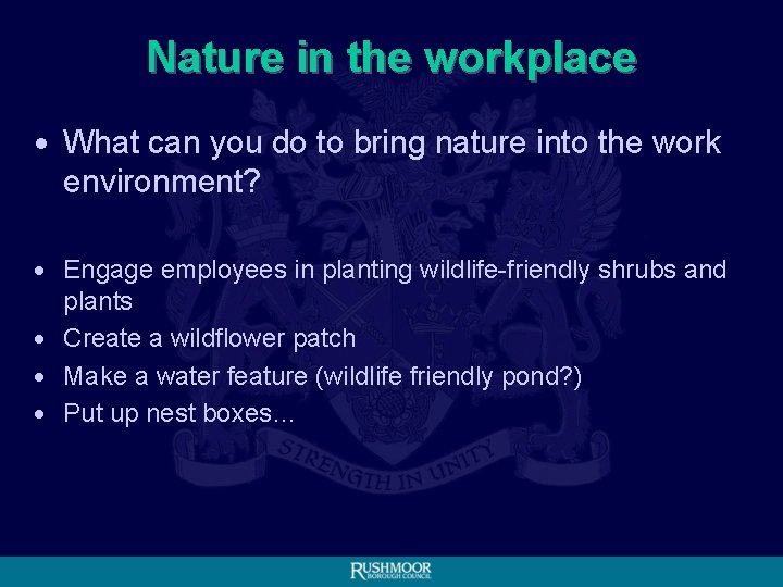Nature in the workplace • What can you do to bring nature into the