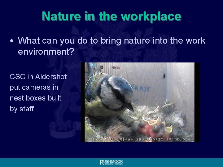Nature in the workplace • What can you do to bring nature into the
