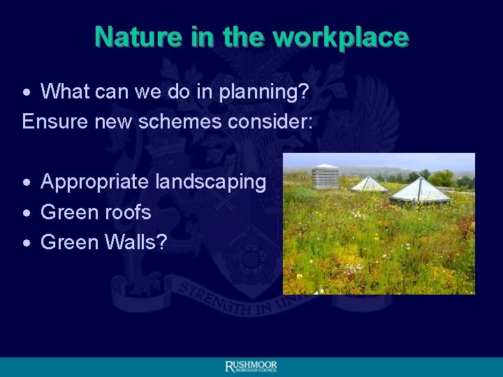 Nature in the workplace • What can we do in planning? Ensure new schemes