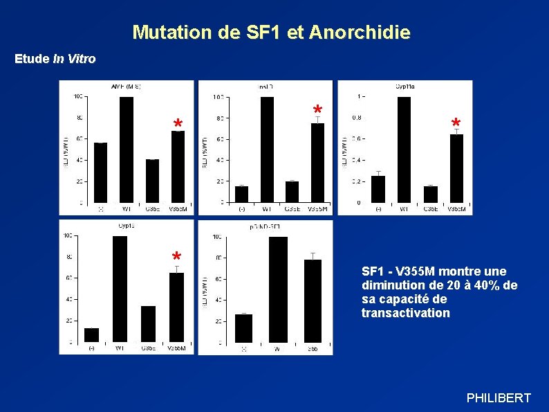 Mutation de SF 1 et Anorchidie Etude In Vitro * * SF 1 -