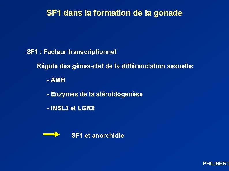 SF 1 dans la formation de la gonade SF 1 : Facteur transcriptionnel Régule