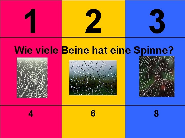 1 2 3 Wie viele Beine hat eine Spinne? 4 6 8 