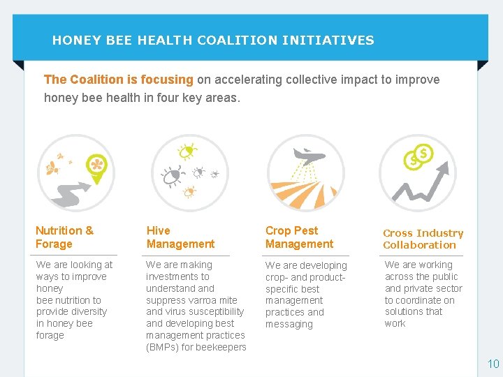 HONEY BEE HEALTH COALITION INITIATIVES The Coalition is focusing on accelerating collective impact to