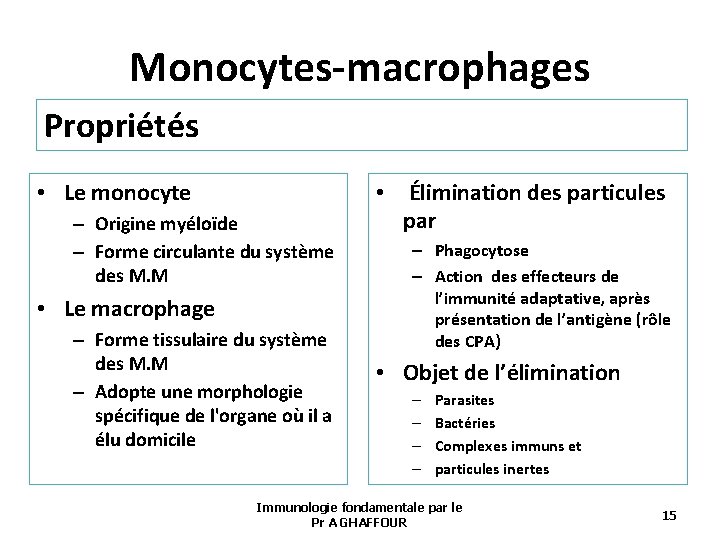 Monocytes-macrophages Propriétés • Le monocyte – Origine myéloïde – Forme circulante du système des