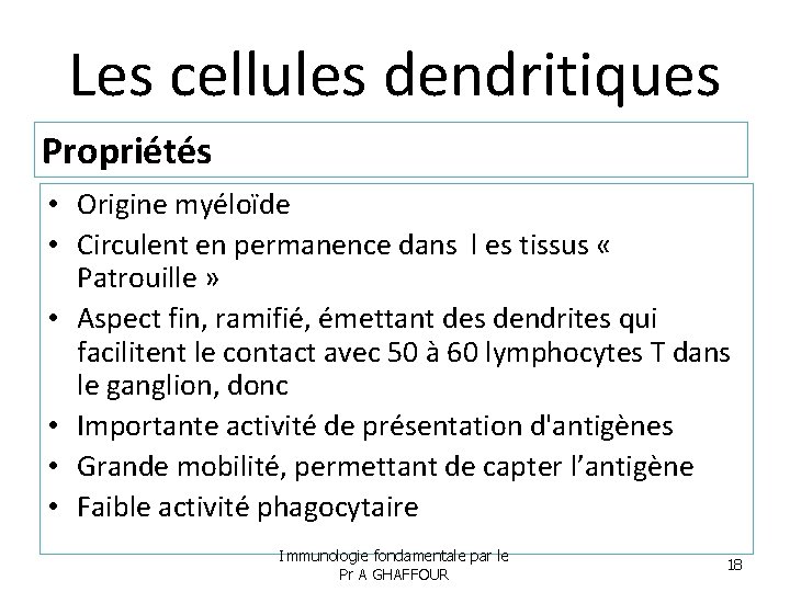 Les cellules dendritiques Propriétés • Origine myéloïde • Circulent en permanence dans l es