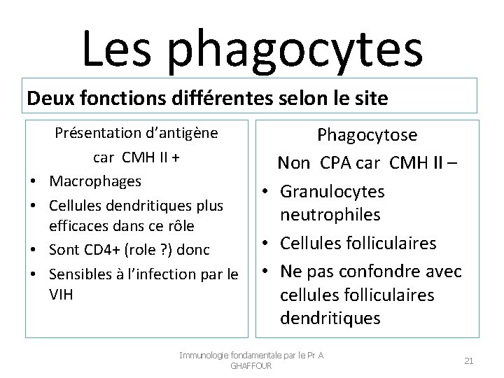 Les phagocytes Deux fonctions différentes selon le site • • Présentation d’antigène car CMH