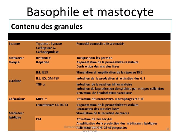 Basophile et mastocyte Contenu des granules Classes Exemples Effets biologiques Enzyme Tryptase , hymase