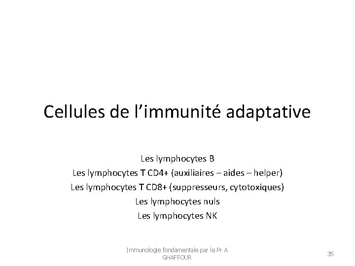 Cellules de l’immunité adaptative Les lymphocytes B Les lymphocytes T CD 4+ (auxiliaires –