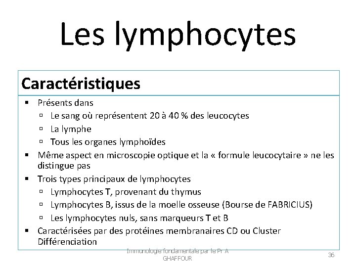 Les lymphocytes Caractéristiques Présents dans Le sang où représentent 20 à 40 % des