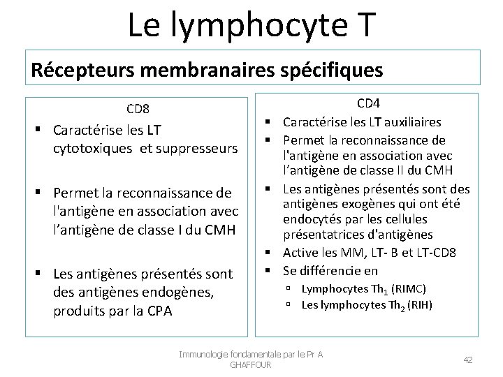 Le lymphocyte T Récepteurs membranaires spécifiques CD 8 Caractérise les LT cytotoxiques et suppresseurs