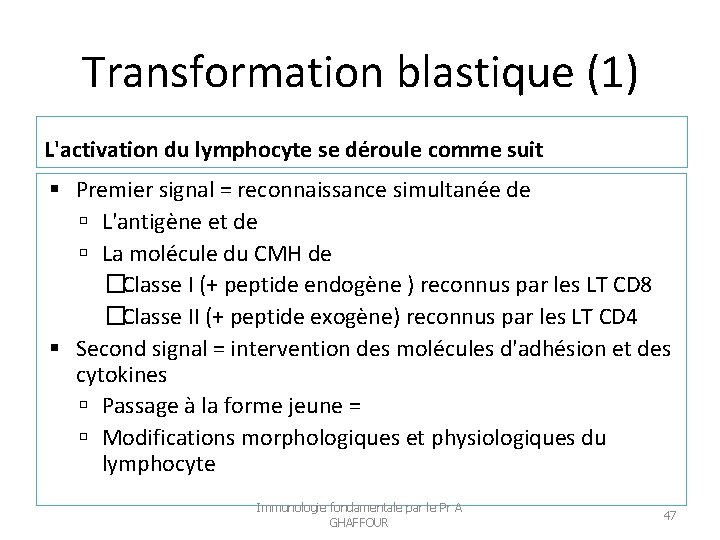 Transformation blastique (1) L'activation du lymphocyte se déroule comme suit Premier signal = reconnaissance