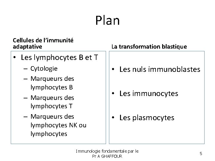 Plan Cellules de l’immunité adaptative La transformation blastique • Les lymphocytes B et T