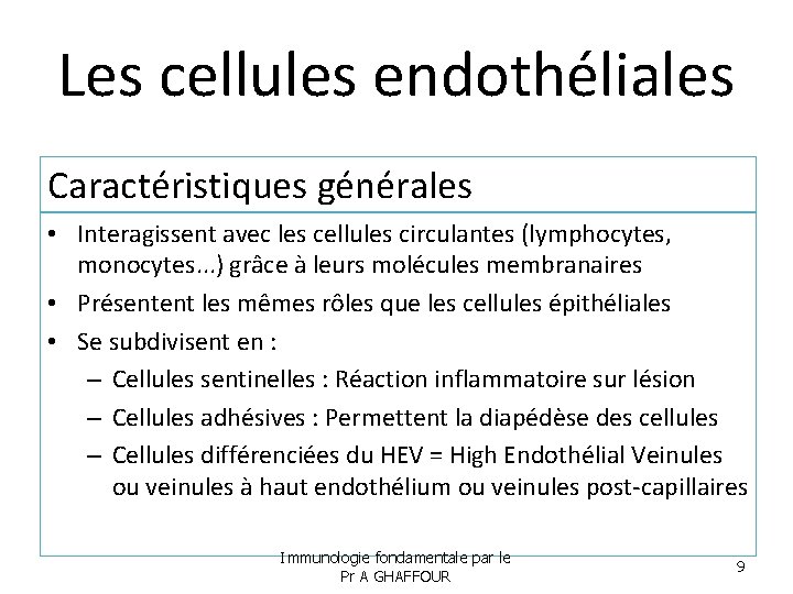 Les cellules endothéliales Caractéristiques générales • Interagissent avec les cellules circulantes (lymphocytes, monocytes. .