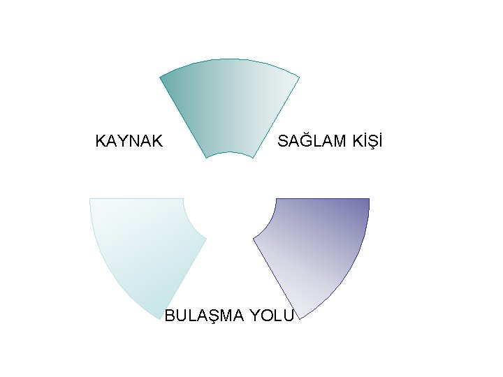 KAYNAK SAĞLAM KİŞİ BULAŞMA YOLU 