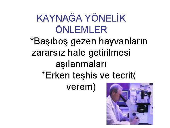 KAYNAĞA YÖNELİK ÖNLEMLER *Başıboş gezen hayvanların zararsız hale getirilmesi aşılanmaları *Erken teşhis ve tecrit(