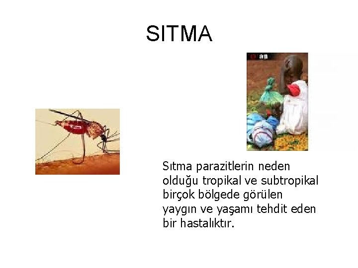 SITMA Sıtma parazitlerin neden olduğu tropikal ve subtropikal birçok bölgede görülen yaygın ve yaşamı