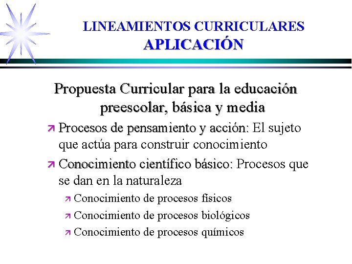 LINEAMIENTOS CURRICULARES APLICACIÓN Propuesta Curricular para la educación preescolar, básica y media ä Procesos