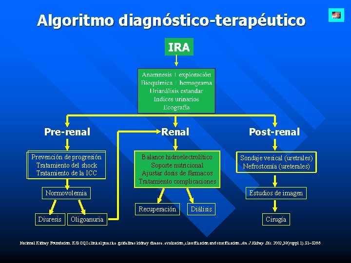 Algoritmo diagnóstico-terapéutico Pre-renal Renal Post-renal Prevención de progresión Tratamiento del shock Tratamiento de la